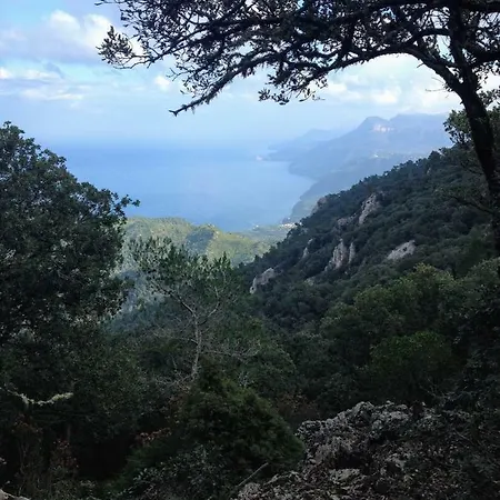 In Tramuntana Holiday home